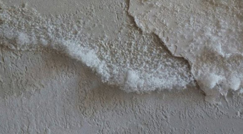 Umidità nelle bocche di lupo: di risalita o dovuta alle piogge